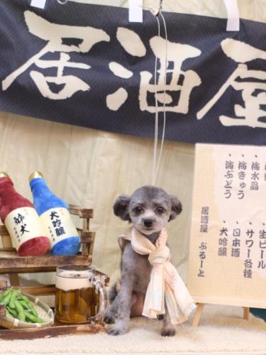 20240615おこげちゃん